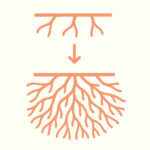 1315629d b3c9 4ee8b2da 80a9f3a19513